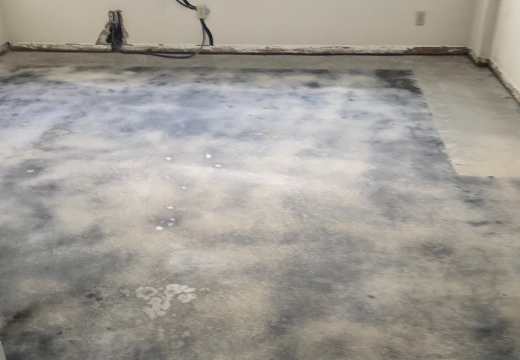 Concrete Floor Repair