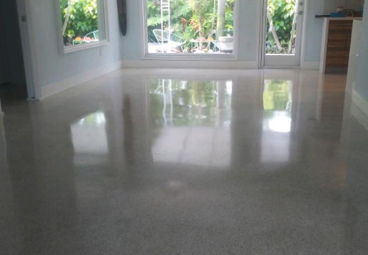 Terrazzo Floor Restoration