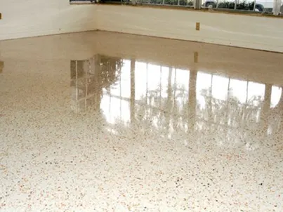 Terrazzo Floor Polishing