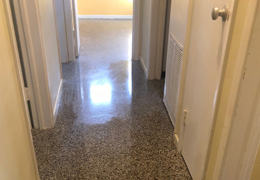 Terrazzo Floor Restoration Service