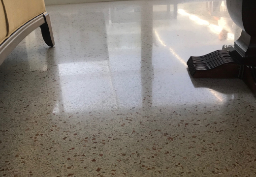 Terrazzo Floor Polishing