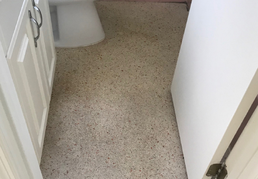 Terrazzo Floor Repair