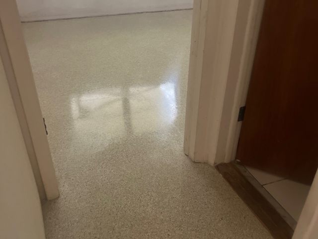 Repair Restored Terrazzo Floors Service