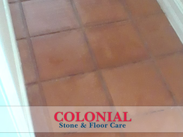 Tile and Grout Cleaning Service